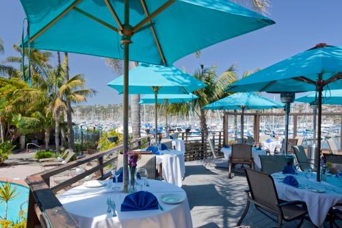 Best Western Plus Island Palms Hotel & Marina near เกาะเชลเทอร์