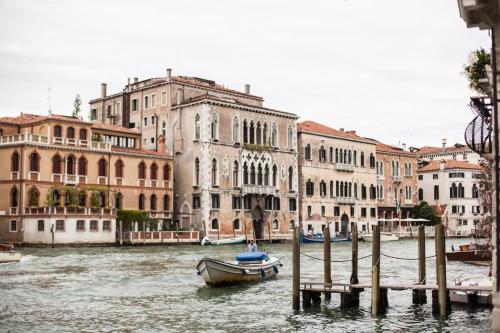 Foresteria Levi - image 4