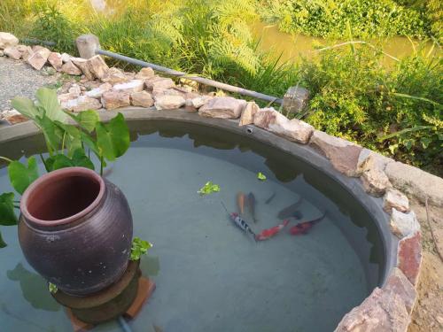 Homestay Timi in Dien Khanh District