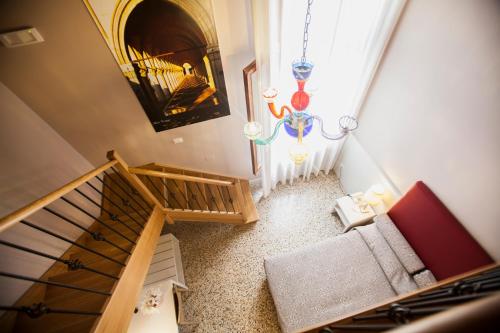 Foresteria Levi - image 12