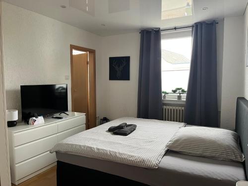 Zum Schwan in มอนไฮม์ อัม ไรน์