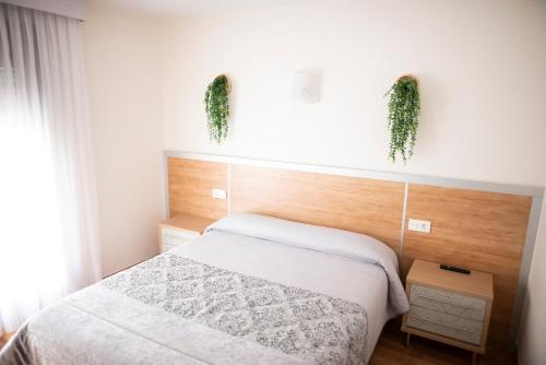 Hostal La Corte