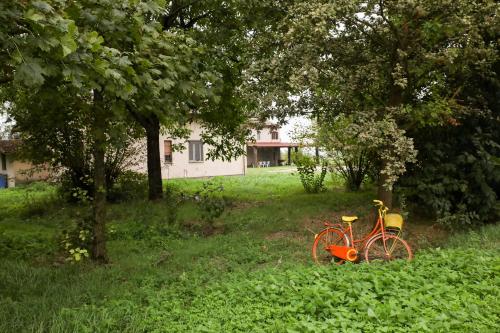 Agriturismo Casari in San Benedetto Po