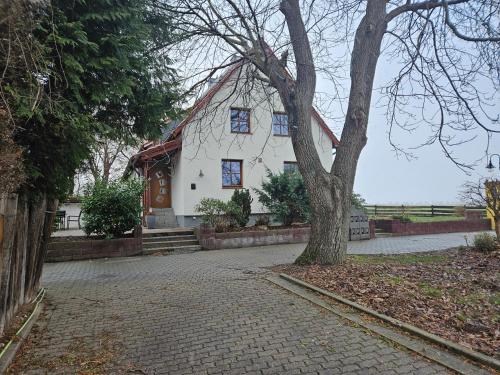 Fewo am See, Ferienhaus, 7 Schlafzimmer, Waschmaschine, Businesswohnung in Salzgitter