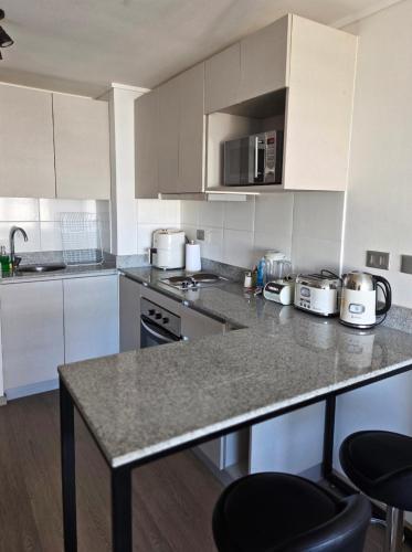 Concepción centro departamento acogedor