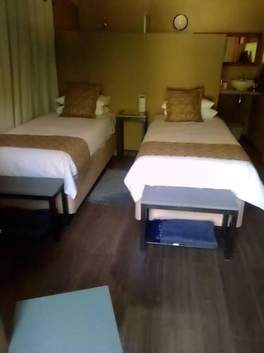 Mongwe Safari Camp in Kariba