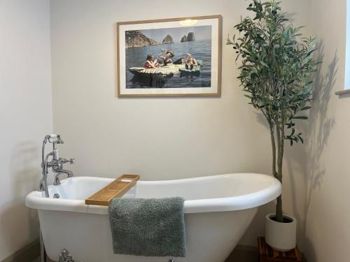 浴室, 31 Lower English in 阿馬