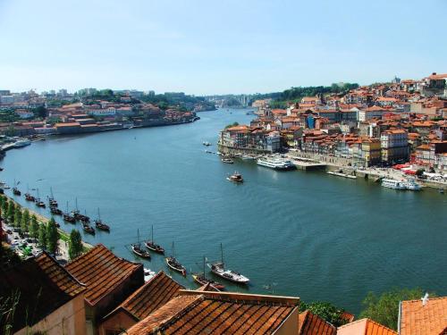 Stunning Designer Flat with Balcony Heart of Porto, Oporto
