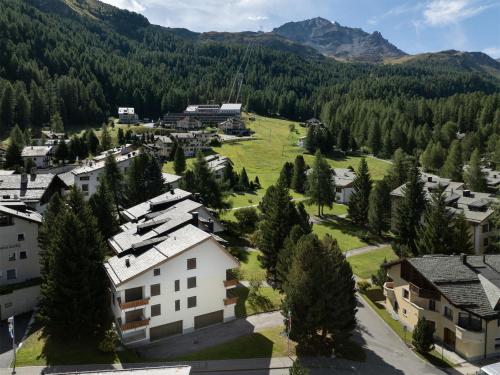 Apartment Chesa Nair 9D by Interhome in Surlej