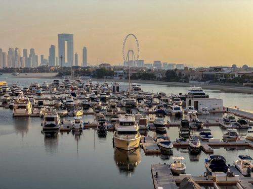 Amazing Views of Palm & Dubai Eye Stylish Studio, Dubai (photo 2)