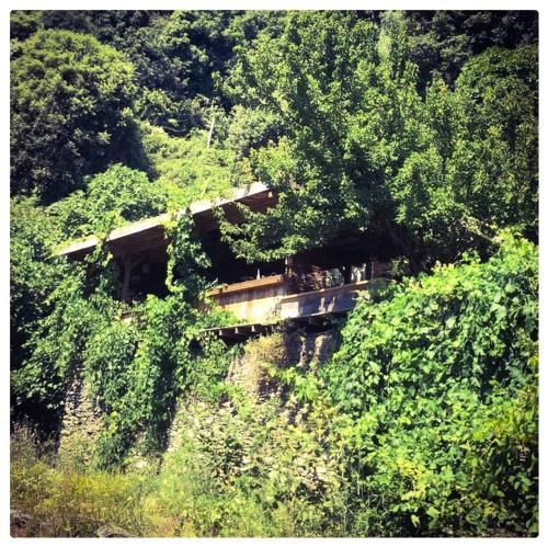 Sans Murs Dans la Nature in San Martino Di Lota