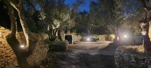 tour casella 5