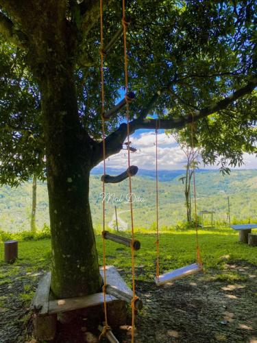 Thrill Playgrounds & Tipi Cafe in Macasandig