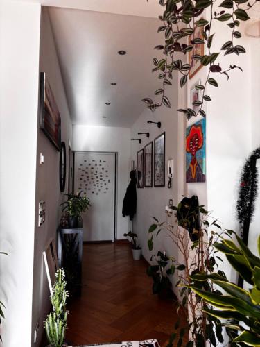 Entree, The Green Nest Perugia in Near Center