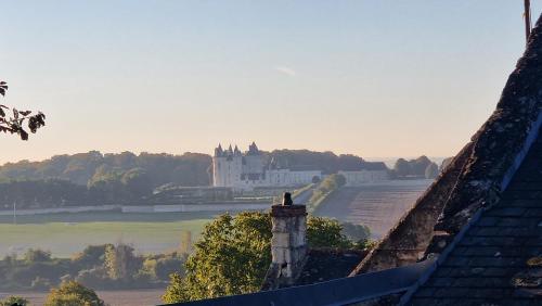 Vaade, Maison au coeur des Châteaux de la Loire (Maison au coeur des Chateaux de la Loire) in Seuilly