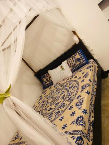 Ancient Tree, Mirissa