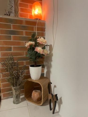 LE COCON - Studio calme et ressourçant, idéalement situé (LE COCON - Studio calme et ressourcant, idealement situe) in 루파흐