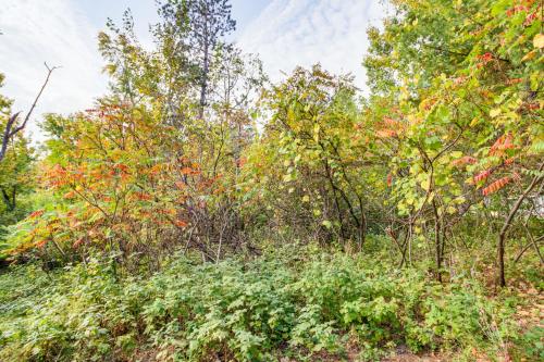 Fish, Hike and More Cozy Brainerd Cabin in Nisswa (MN)