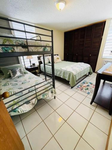 Ocean Front Apartment in Luquillo