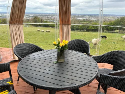 Valley view cabin in the woods on a farm in Ballinasloe