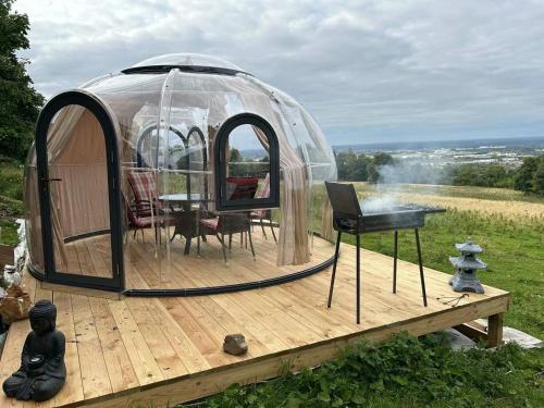 Valley view cabin in the woods on a farm in Ballinasloe