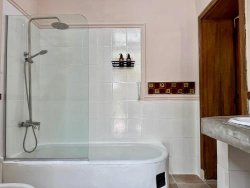 Lina's Tango Guesthouse, Buenos Aires (photo 3)