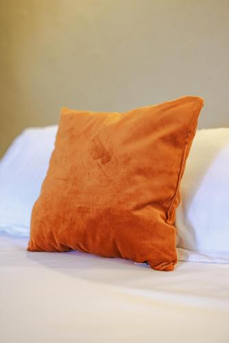 Serenity Rincon - image 11