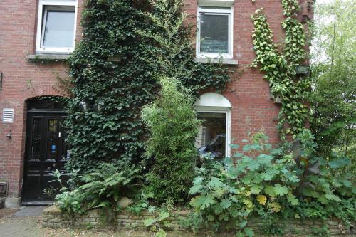 Art Bed & Breakfast - image 4