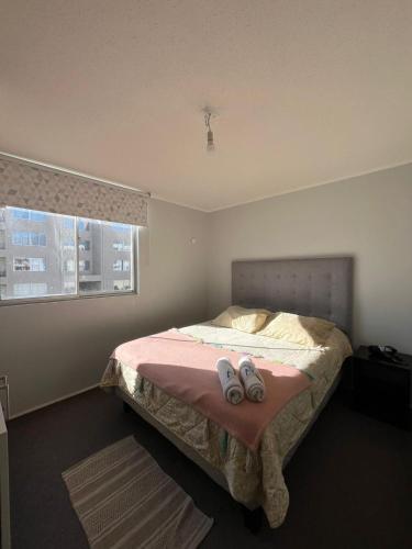 . Departamento equipado 203 Ovalle