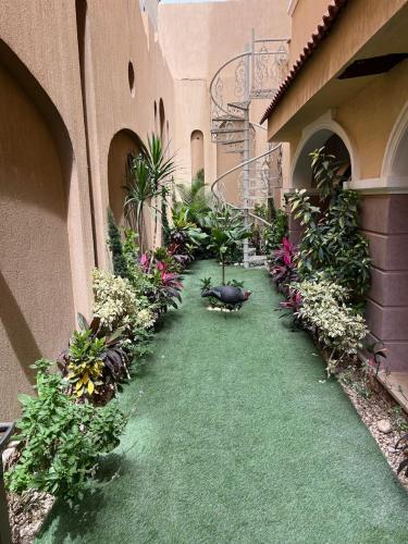 Resort, Il Cairo (foto 7)
