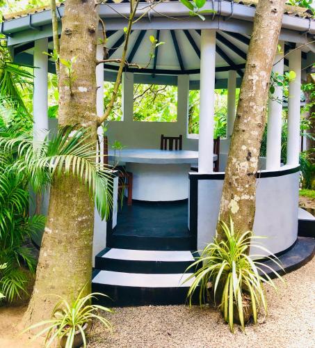 drongo place, Dikwella (fotografie 8)