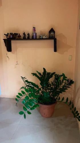 Green Shelter in Barrio Inmaculada