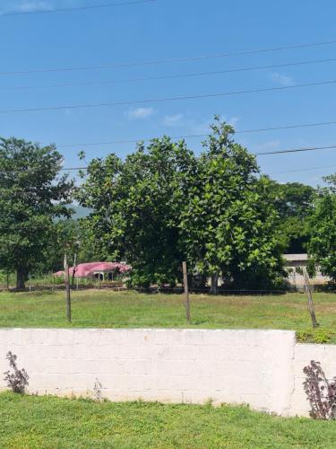 Linstead AirB&B Crescent Avenue in Linstead