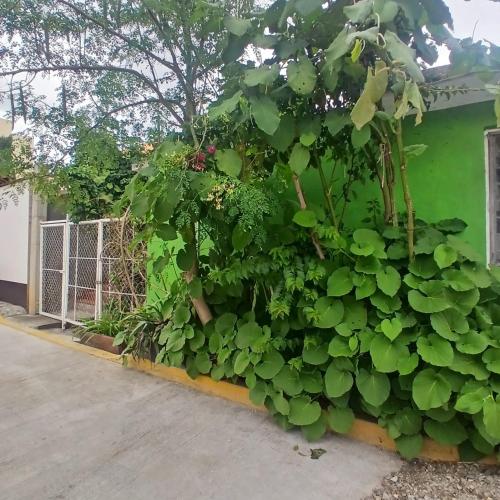 오악사카 The Magic 3성급 싱글룸 부대시설