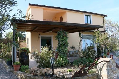 B&B Il Vigneto