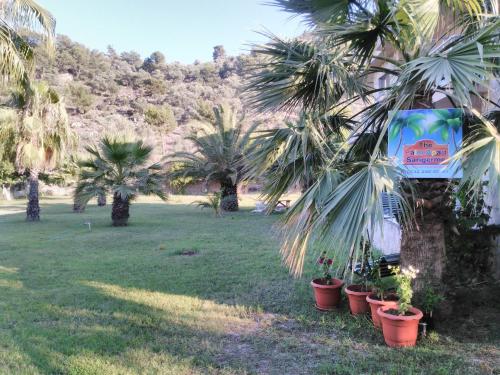 The Palm Apart Sarigerme - image 11