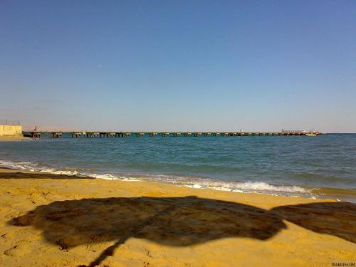 One Bedroom Chalet at Gardenia Al Wadi in 埃因苏赫纳