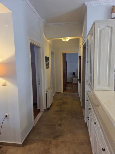 center apartments in Lefkada