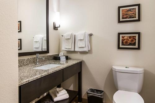 Comfort Suites - image 10
