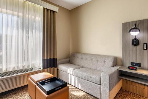 Comfort Inn & Suites North Dallas-Addison - image 3