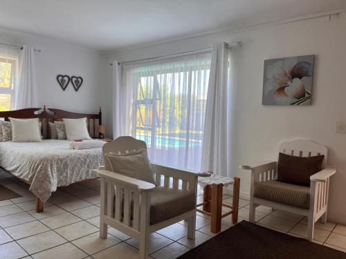 Pladda in Plett - image 3
