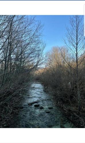 Mirni kutak in 維利卡柏