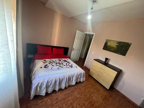 Open Door Hostel, Tirana (fotografie 2)