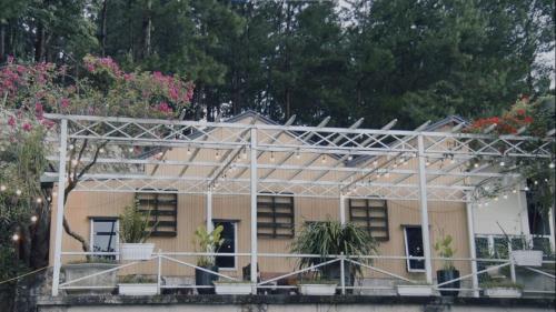 Trúc Linh Homestay