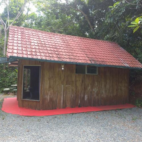 La Ceiba Ecoadventures Wildlife Reserve - image 4