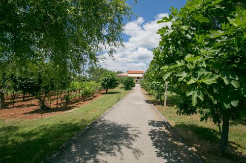  Apartment Vito in Labin