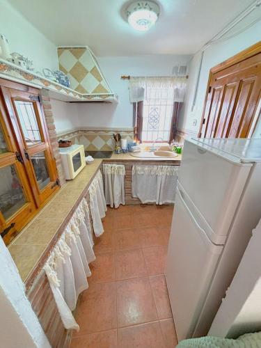 Evans Realty BP Casa Higinea Céntrico y terraza (Evans Realty BP Casa Higinea Centrico y terraza) in 埃爾博爾赫