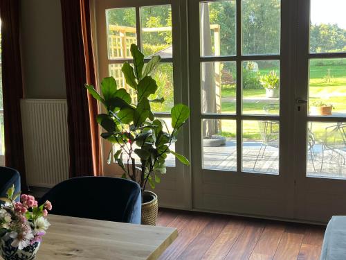 ทัศนียภาพ, Guesthouse Oeyenbos in เวลโฮเวน