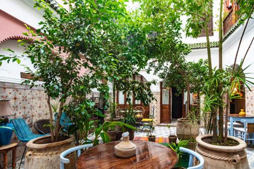 Riad Taghia - image 5
