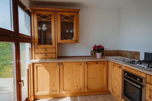köök, Frešer Farm Accommodation (Freser Farm Accommodation) in Zgornja Polskava
